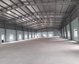 Cho thuê kho xưởng 1200m2, 700m2, 500m2 tại TP Hải Dương