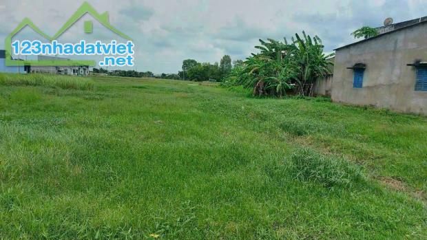 bán đất giá 42x45m (2.036m2) giá 7.5 tỷ, xã Đức Hòa Thượng, Huyện Đức Hòa, Long An - 3