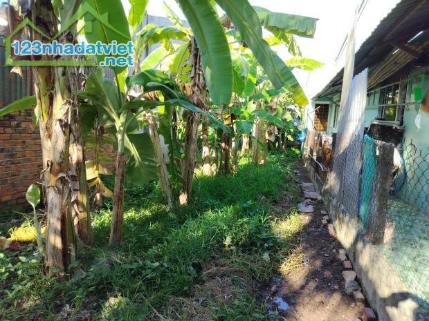 Đất ấp Long Mỹ Phước Thạnh Mỹ Tho Tiền Giang đường oto - 3