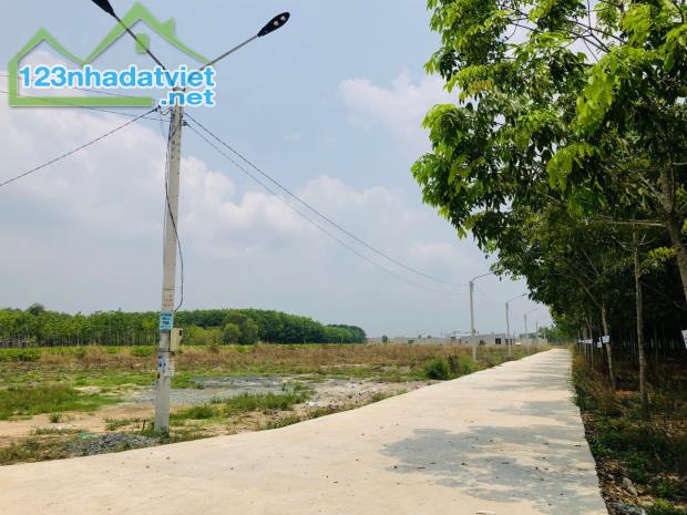 CÔ CHÚ LỚN TUỔI CẦN BÁN NHANH LÔ ĐẤT SẴN THỔ CƯ NGAY CHỢ GIÁ 320 TRIỆU 248M2 NGAY KHU DÂN - 4