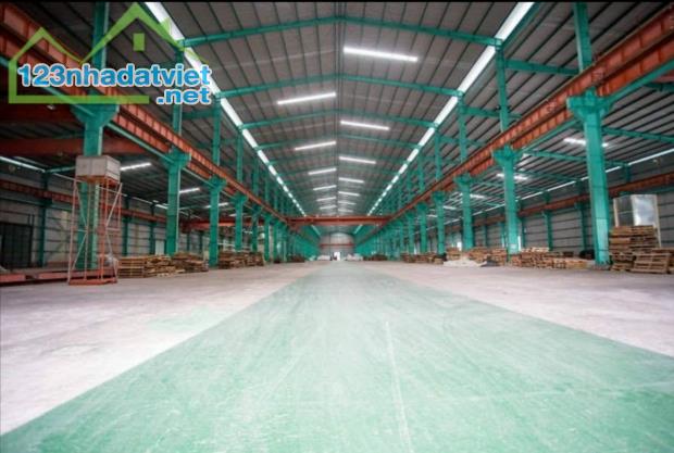 X166. Cho thuê kho xưởng gần Kcn Thuận Đạo, Phúc Long, Nhựt Chánh, đầy đủ DT huyện Bến Lức