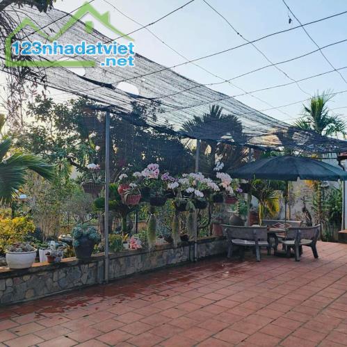 Bán nhà Thị trấn Hát Lót, Mai Sơn, Sơn La, 1600m2 có sổ đỏ, nhà gỗ - 3