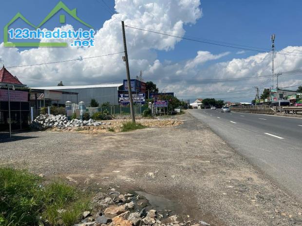 🌸 Bán lô đất Ninh Lộc mặt đường Quốc lộ 1A - 2