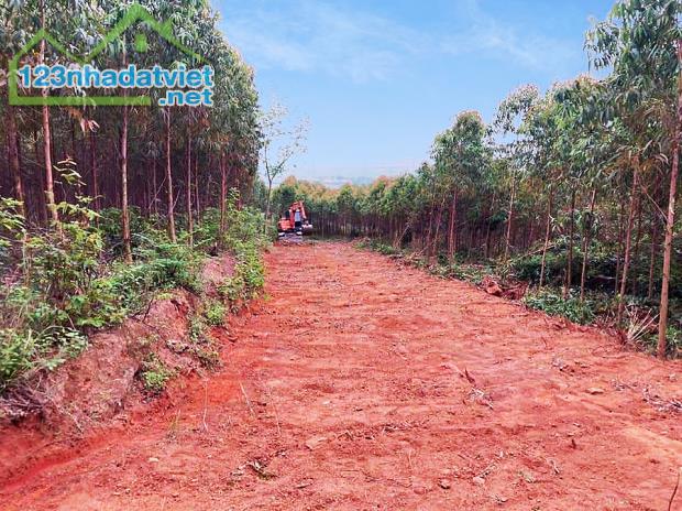 Bán lô đất 2345,7m2 tại xã Đan Hội, Lục Nam, Bắc Giang chỉ 650k/m2 sẵn sổ bao phí - 5