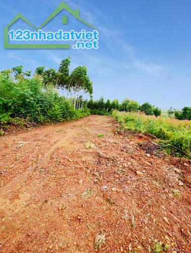 Bán lô đất 2345,7m2 tại xã Đan Hội, Lục Nam, Bắc Giang chỉ 650k/m2 sẵn sổ bao phí - 2