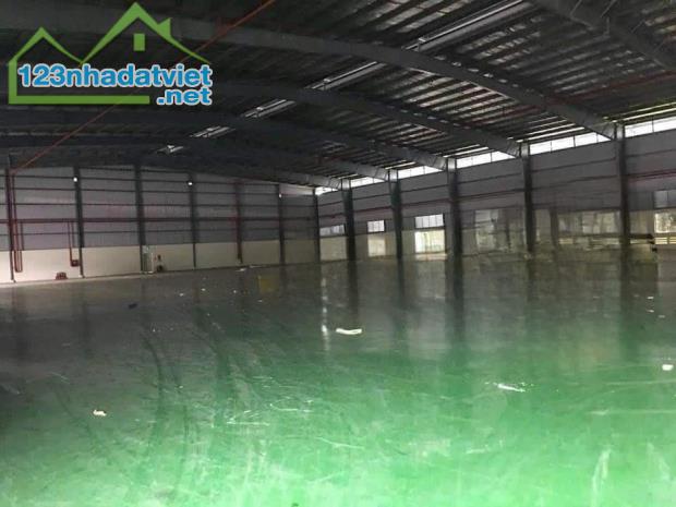 Cho thuê 10.000 m2 kho xưởng trong KCN TPM Bình Dương - 1