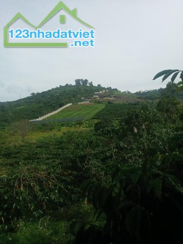 BÁN ĐẤT ĐẸP - Vị Trí Đắc Địa Tại Huyện Di Linh, Lâm Đồng