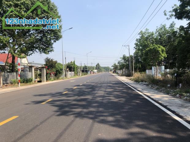 BÁN RẺ LÔ ĐẤT 206M2 NGAY CHỢ CẠNH KCN ĐANG MỞ RỘNG DÂN CƯ ĐÔNG GIÁ 190 TR - 1