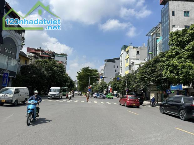 ⚜️ MẶT PHỐ VIP KIM MÃ, BA ĐÌNH 135M2 5 TẦNG MẶT TIỀN SIÊU ĐẸP 8M, CHỈ 43 TỶ ⚜️ - 3