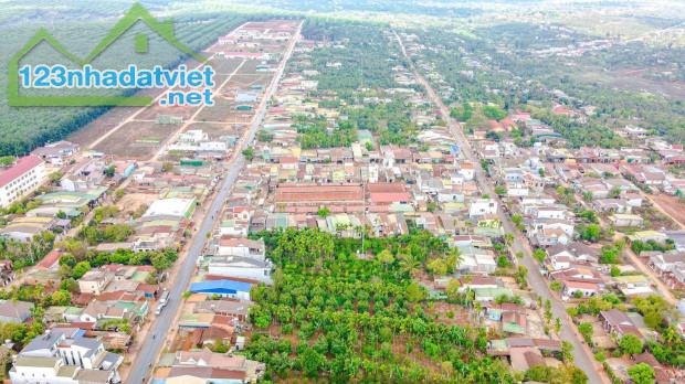 Chính chủ cần bán 4 lô đất KDC Phú Lộc - Krông Năng, thổ cư 100%, đường lớn 8m. - 5