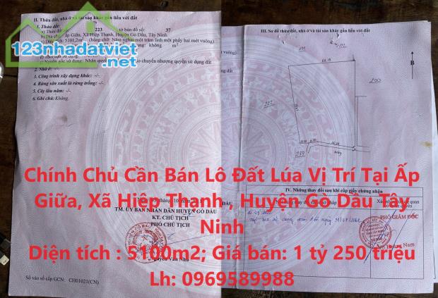 Chính Chủ Cần Bán Lô Đất Lúa Vị Trí Tại Huyện Gò Dầu, Tỉnh Tây Ninh - 4