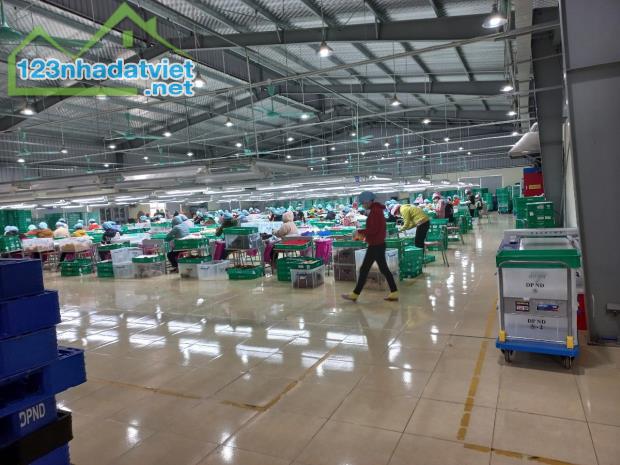 TRANSFER OF THE ENTIRE FACTORY in NAM DINH PROVINCE/南定省整个工厂转让