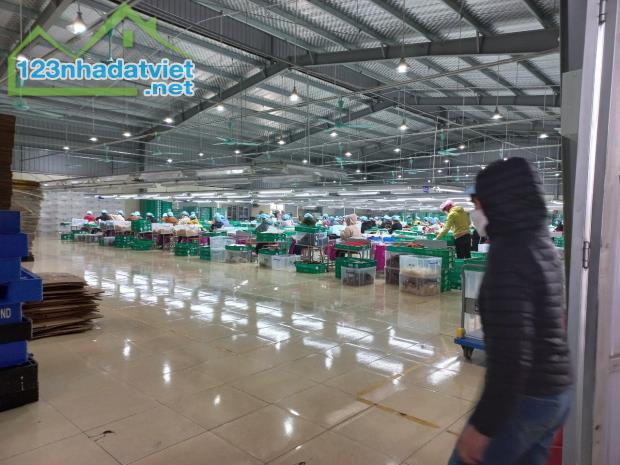 TRANSFER OF THE ENTIRE FACTORY in NAM DINH PROVINCE/南定省整个工厂转让 - 1