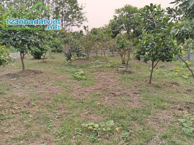 Bán 1900m2 đất vườn, Sài Sơn Quốc Oai giá hơn 1 triệu/m2