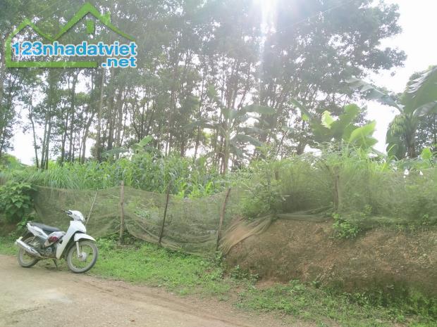 Bán đất nghỉ dưỡng view thoáng gần Hà Nội 715m 400m thổ cư  Liên Sơn Lương Sơn Hòa Bình - 2