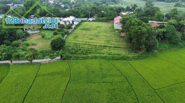 Bán đất nghỉ dưỡng view cánh đồng xanh mướt 2000m 100m thổ cư Liên Sơn Lương Sơn Hòa Bình - 4