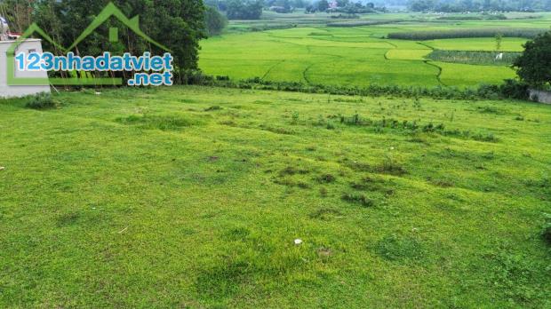 Bán đất nghỉ dưỡng view cánh đồng xanh mướt 2000m 100m thổ cư Liên Sơn Lương Sơn Hòa Bình - 3