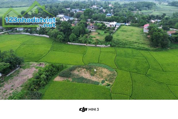 Bán đất nghỉ dưỡng view cánh đồng xanh mướt 2000m 100m thổ cư Liên Sơn Lương Sơn Hòa Bình - 1