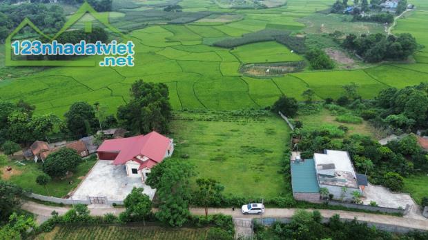 Bán đất nghỉ dưỡng view cánh đồng xanh mướt 2000m 100m thổ cư Liên Sơn Lương Sơn Hòa Bình