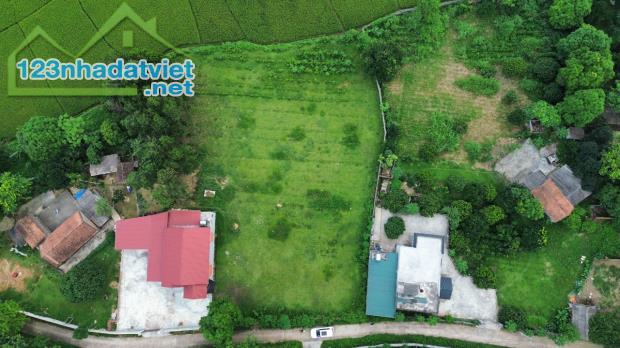 Bán đất nghỉ dưỡng view cánh đồng xanh mướt 2000m 100m thổ cư Liên Sơn Lương Sơn Hòa Bình - 2