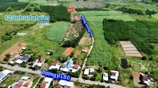 Bán đất vườn Khánh Hiệp giá rẻ phù hợp quy hoạch thổ cư gần Tỉnh Lộ 8C - 3
