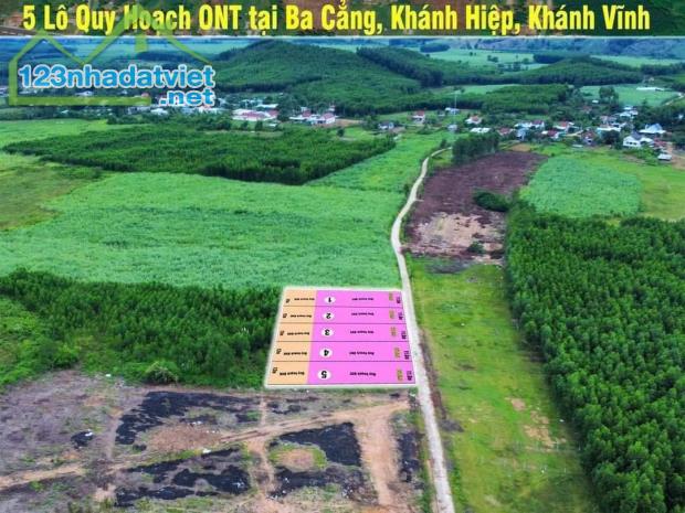Bán đất vườn Khánh Hiệp giá rẻ phù hợp quy hoạch thổ cư gần Tỉnh Lộ 8C - 1