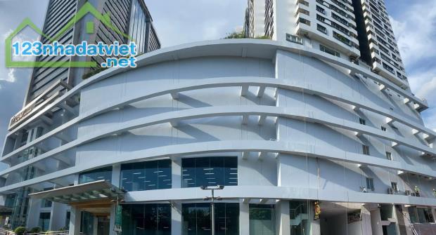 Cho thuê MBKD 200m2-1000m2 siêu đẹp tại Mipec Tower 229 Tây Sơn quận Đống Đa - 1