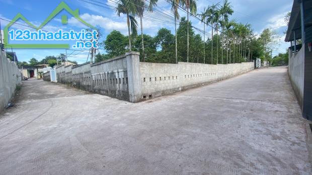 Bán đất 223,2m2 Kiệt ôtô Thanh Hải, cạnh Tịnh Trúc Gia, phường Thuỷ Xuân, TP Huế - 2