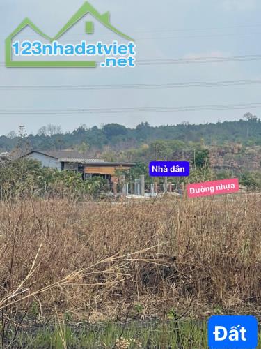 Bán Đất 18725,7m2 ( 1,8ha) ở Cư Mgar, Quảng Hiệp Giá 730Tr - 4