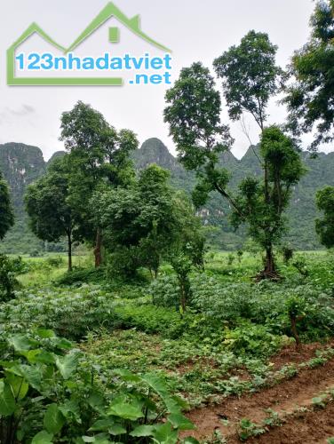 Bán gấp mảnh đất Lương Sơn, Hòa Bình 3200m2, giá 4,5 tỷ - 3