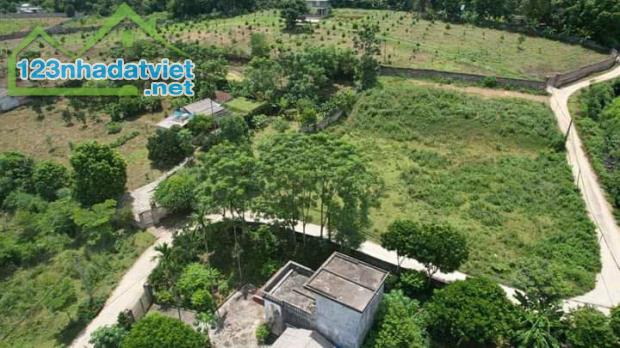 Bán đất Lương Sơm, Hòa Bình 2736m2, giá 5,5 tỷ - 2