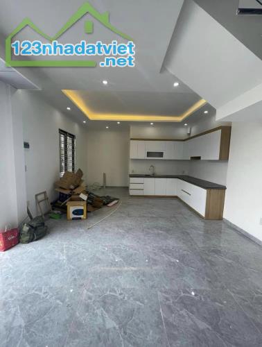 Bán nhà độc lập 60m2 tại Vĩnh Khê, An Đồng, An Dương, đối diện Hoàng Huy, ngay đường Máng - 3