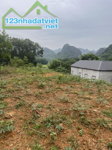 Bán đất nghỉ dưỡng Cao Dương Lương Sơn Hòa Bình 1369m2 200m thổ cư view núi non - 1