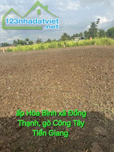 Đất mặt tiền đá xanh 5m đường kênh n7 xã Đồng Thạnh, Gò Công Tây, Tiền Giang