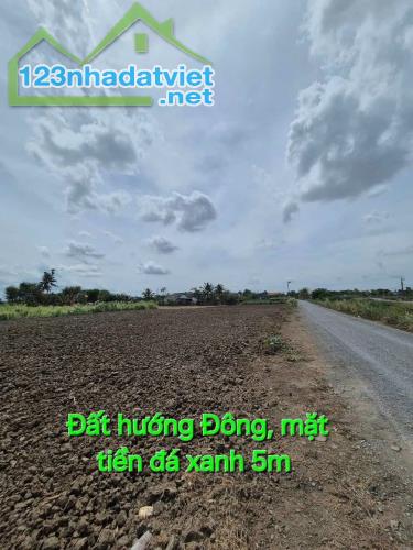 Đất mặt tiền đá xanh 5m đường kênh n7 xã Đồng Thạnh, Gò Công Tây, Tiền Giang - 3