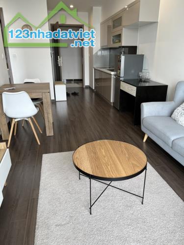 Chính chủ cho thuê căn hộ Vinhomes Symphony-66m 2n2wc-tầng trung-view ao sen-full đồ-16tr - 4