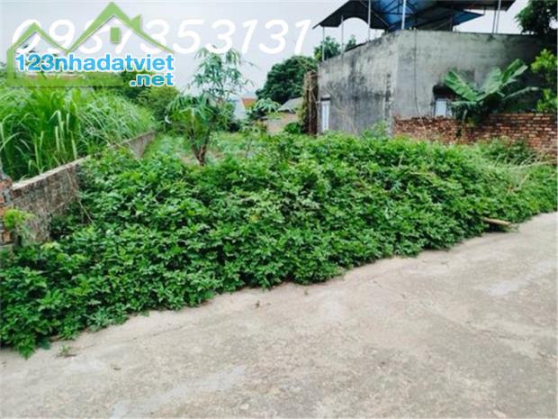 💥 Chỉ 2,x tỷ 💥 Có 360m2 đất xây biệt thự sân vườn phân lô đẹp tuyệt, mặt đường thông