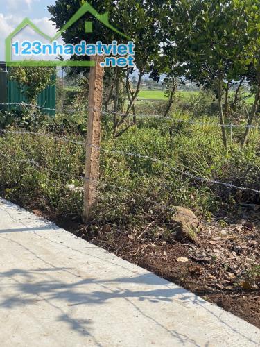 Bán đất 10x65m 850triệu gần Ngã 3 Duy Hoà (Võ Văn Kiệt) hẻm Tố Hữu (buôn Kbu) Buôn Ma Thuo - 2