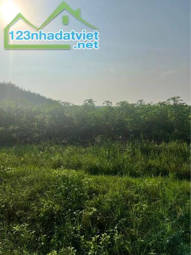 Hơn 3 công đất TP Tây Ninh giá chỉ 285 triệu/công - P. Ninh Thạnh, TP. Tây Ninh - 1