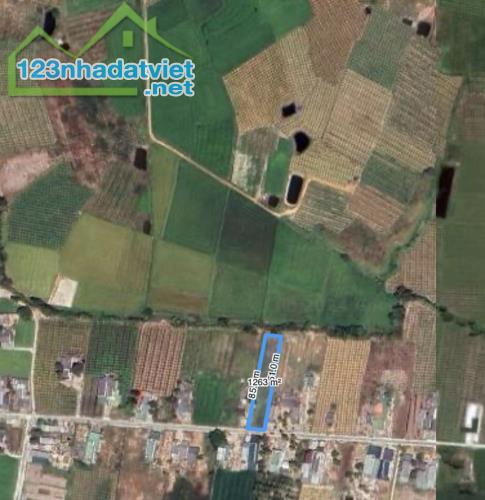Cần bán đất Biển 1262.6m2 Hẻm Lý Thái Tổ, xã Tân Tiến, Thị Xã LaGi Giá Ngộp - 2