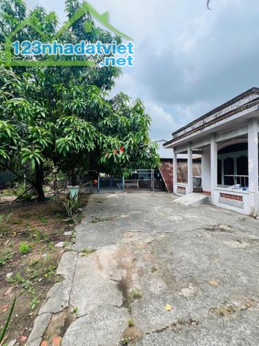 Bán nhà gần Hương Lộ 2, Bình Tân, 10x40, HXH, giá 13.5 Tỷ TL - 1