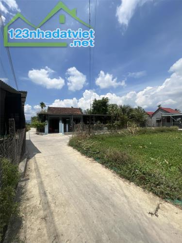 chủ nghộp bán đất 3 mặt tiền ngay ql1a giá chỉ 480tr Phường Ninh Giang Ninh Hòa 0395287569 - 1