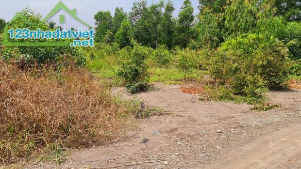 Bán đất 23 x42m (1.000m2) xã Hựu Thạnh, Đức Hòa, Long An giá 2.6 tỷ lh: 0786 7978 99 - 2