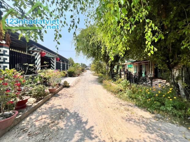 ĐẤT ĐẸP - GIÁ TỐT - CẦN BÁN NHANH Lô đất tại xã Phước Thạnh, Gò Dầu, Tây Ninh - 3
