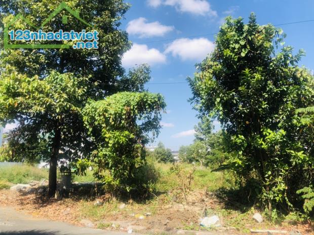 Bán đất biệt thự đường 69A, dự án Huy Hoàng, phường Thạnh Mỹ Lợi, Q2,TPHCM - 4