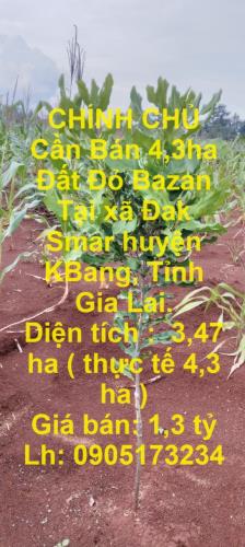 CHÍNH CHỦ Cần Bán 4,3ha Đất Đỏ Bazan Tại xã Đak Smar huyện KBang, Tỉnh Gia Lai. - 4