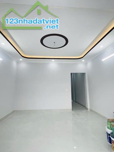 Bán nhà cấp 4 200m2 SHR,THỔ CƯ 100% Siêu Đẹp Giá TỐT (P. TÂN PHONG) - 2