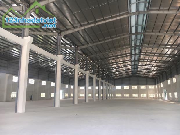 CHO THUÊ KHO XƯỞNG 10.500M2 TRONG CỤM NHÀ XƯỞNG HIỆP THÀNH, LƯƠNG BÌNH, BẾN LỨC, LONG AN - 1