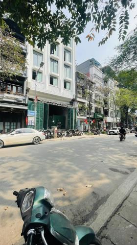 Mặt phố Tô Hiến Thành, 342m2, mặt tiền 12m, 173.8 tỷ, vỉa hè rộng, ô tô 2 chiều, kinh