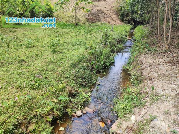 Bán đất vườn Khánh Thượng giá rẻ giáp suối chảy quanh năm - 1
